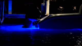 Tips from the Pros  Underwater Lights for Boats [upl. by Tullius]