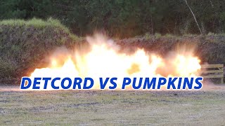 120ft of Detcord vs Pumpkins at Epic Shoot 2021 [upl. by Anilyx]