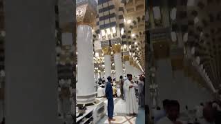 🤲Muala ya Salim w salim naat 🤲 shortsfeed love ytshorts [upl. by Rivkah571]