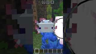 NEW AXOLOTL POND YOU HAVE TO TRY THIS music beats instrumental minecraft minecraftgame [upl. by Nosbig]