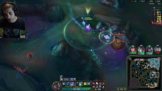 SOLO Diamond 4 0 LP  FLEX Emerald 2 88 LP DAY M 2223  W 910 [upl. by Aihsekram775]