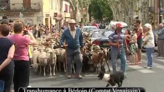 04  PROVENCE  Folklore Farandole et Fêtes provençales [upl. by Winer]