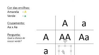 Quadro de Punnett  1ª Lei de Mendel BiologiaProf Eymael [upl. by Yllet]