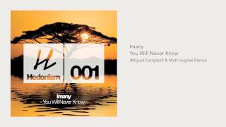 Imany  You Will Never Know Miguel Campbell amp Matt Hughes Remix [upl. by Nosiaj]