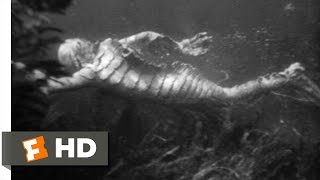 Creature from the Black Lagoon 710 Movie CLIP  Underwater Hunt 1954 HD [upl. by Chae]