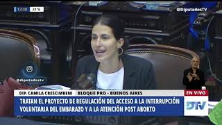 Una diputada a favor del aborto contó en el debate la historia de sus padres quotEligieron tenermequot [upl. by Engenia177]