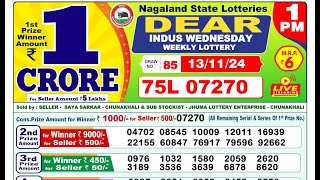 Lottery Result Today 1pm 13112024  Official  Sikkim Lottery [upl. by Rdnaskela]