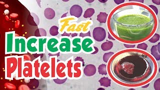 These Natural Ingredients Can Rapidly Increase Platelets Counts [upl. by Cir]