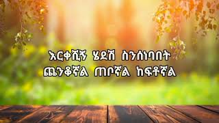 Temesgen Tafese Temeleshi ተመስገን ታፈሰ ተመለሺ Lyrics Video [upl. by Guinevere933]