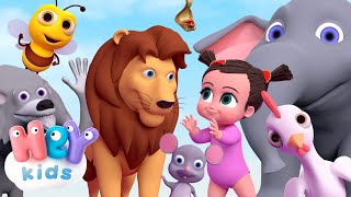 Les animaux pour bébé  son des animaux  HeyKids  Chansons pour enfants [upl. by Anihta]