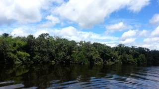 MS Marietje Andrea crossing Demerara river [upl. by How]