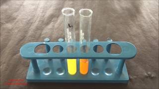 Phytochemical Test for Flavonoid  Flavonoid Identification Test  Flavonoid Test  ENGLISH [upl. by Earehs]