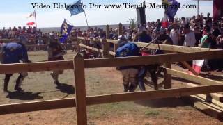 Campeonato Mundial Combate Medieval año 2014 [upl. by Burwell]