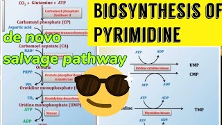 Pyrimidine Biosynthesis De novo amp Salvage pathway 😎😎 [upl. by Iror952]