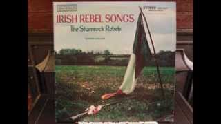 The Kerry Recruit  The Shamrock Rebels [upl. by Breech981]