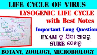 LIFE CYCLE OF VIRUS  BACTERIOPHAGE Bsc zoology  Full concept clear with NOTES💪 [upl. by Eugene]