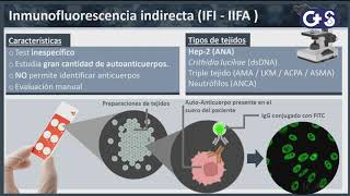 Sesión clínica Explorando los anticuerpo Técnica diagnóstico y relevancia clínica [upl. by Leahcimsemaj]