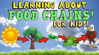 Learning About Food Chains [upl. by Ellohcin629]