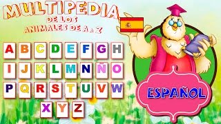 Alfabeto en Español con Animales Reales  Spanish Alphabet [upl. by Wallraff]