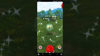 ✨️Catching and evolving my first Shiny Solosis shiny pokemon shinypokemon pokemongo wildshiny [upl. by Anazraf]