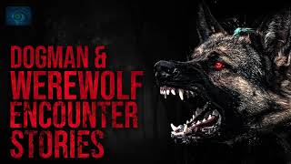 3 HOURS OF DOGMAN HORROR STORIES  DOGMAN ENCOUNTERS AND DOGMAN SIGHTINGS [upl. by Adama]