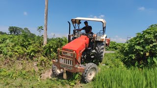 My Old 2wd Swaraj 855 FE Tractor Working Rotavator  Swaraj Tractor Farming Video [upl. by Yraeg]