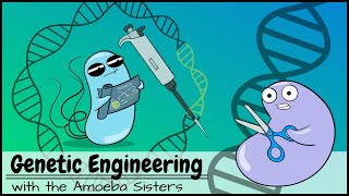 Genetic Engineering [upl. by Nannah]