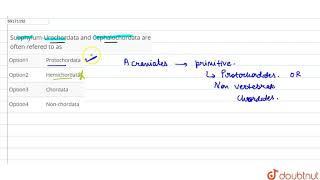 SubphylumUrochordata and Cephalochordata are often refered to as [upl. by Constantino864]