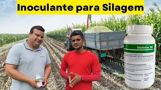 SiloSolve® MC Inoculante para Silagem [upl. by Dazhehs130]