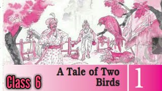 Class 6  A Tale of Two Birds  Chapter 1  Hindi explanation  A pact with the sun book NCERT [upl. by Grunenwald151]