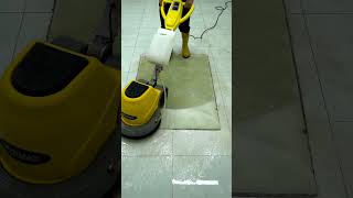 Like New Again Carpet Cleaning Magic [upl. by Zaccaria495]