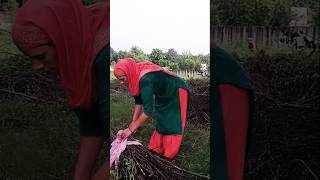 Lakdi khti sun O bndia mol na mera janashorts song rinku vlogs popular song [upl. by Aday]