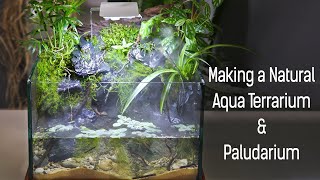 Nature Aqua Terrarium  Paludarium [upl. by Beverle]