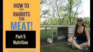 How to Raise Rabbits for Meat Part 5 Rabbit Nutrition [upl. by Amary609]