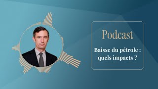 Podcast Le pétrole  un enjeu mondial et environnemental  18102024 [upl. by Randall]