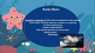 AICE Marine Science Understanding Coastal Landforms 🌊 [upl. by Gnuhc]