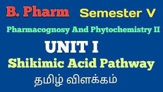 Shikimic Acid Pathway Tamil Explanation [upl. by Keene]