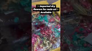 Dried Flowers Natural Plant Pressed Flower For Epoxy Resin Art Craft DIY Jewelry Making Crafts [upl. by Joly878]