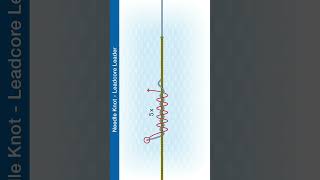 Shorts How To Tie The Needle Knot  Leadcore leader [upl. by Iad]