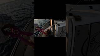 C amp R BLACK SPOT SNAPPER WITH SOFTBAIT kuwait snapper softbait fishing الكويت fish dji DJI [upl. by Ranice]