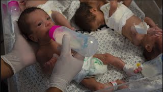 28 premature babies arrive in Egypt after evacuating Gazas Shifa hospital [upl. by Tav618]