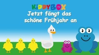 Jetzt fängt das schöne Frühjahr an  Kinderlieder zum Mitsingen  KIDDYBOXTV [upl. by Ecniv822]