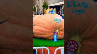 Champion Of Circlevilles Pumpkin Show autumn fall festival pumpkin ohio pumpkins circleville [upl. by Erbas]