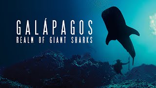 Galapagos Realm of Giant Sharks HD [upl. by Camilo994]