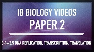 DNA Replication Transcription and Translation  IB SL Biology Past Exam Paper 2 Questions [upl. by Anialram798]