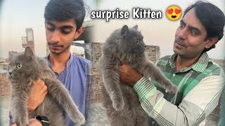 Aj ham pet house may new kitten lay ay itni cute 😍 [upl. by Halford]