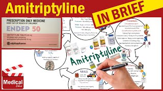 Amitriptyline  Elavil 10 mg  What is Amitriptyline Used for Dosage Side Effects amp Precautions [upl. by Oliver]