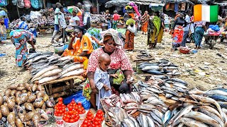 Mass food market in Adjame ivory coast What 20 will get you in the biggest market in Abidjan 2024 [upl. by Anekam]