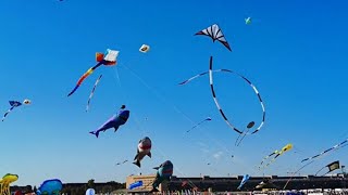 🪁AMAZING ACROBATIC KITE FLYING at the BERLIN KITE FESTIVAL 2024 [upl. by Notpmah]