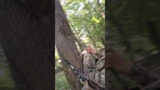 This is why you use a lineman belt when climbing Ky Opener 23 bowhunting saddlehunting archery [upl. by Dot643]